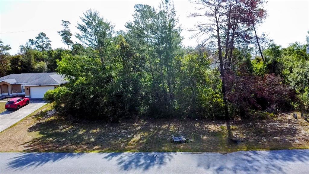 Southwest 50th Terrace Road Ocala, FL 34473 - Photo 1 of 1 a view of a back yard with green space