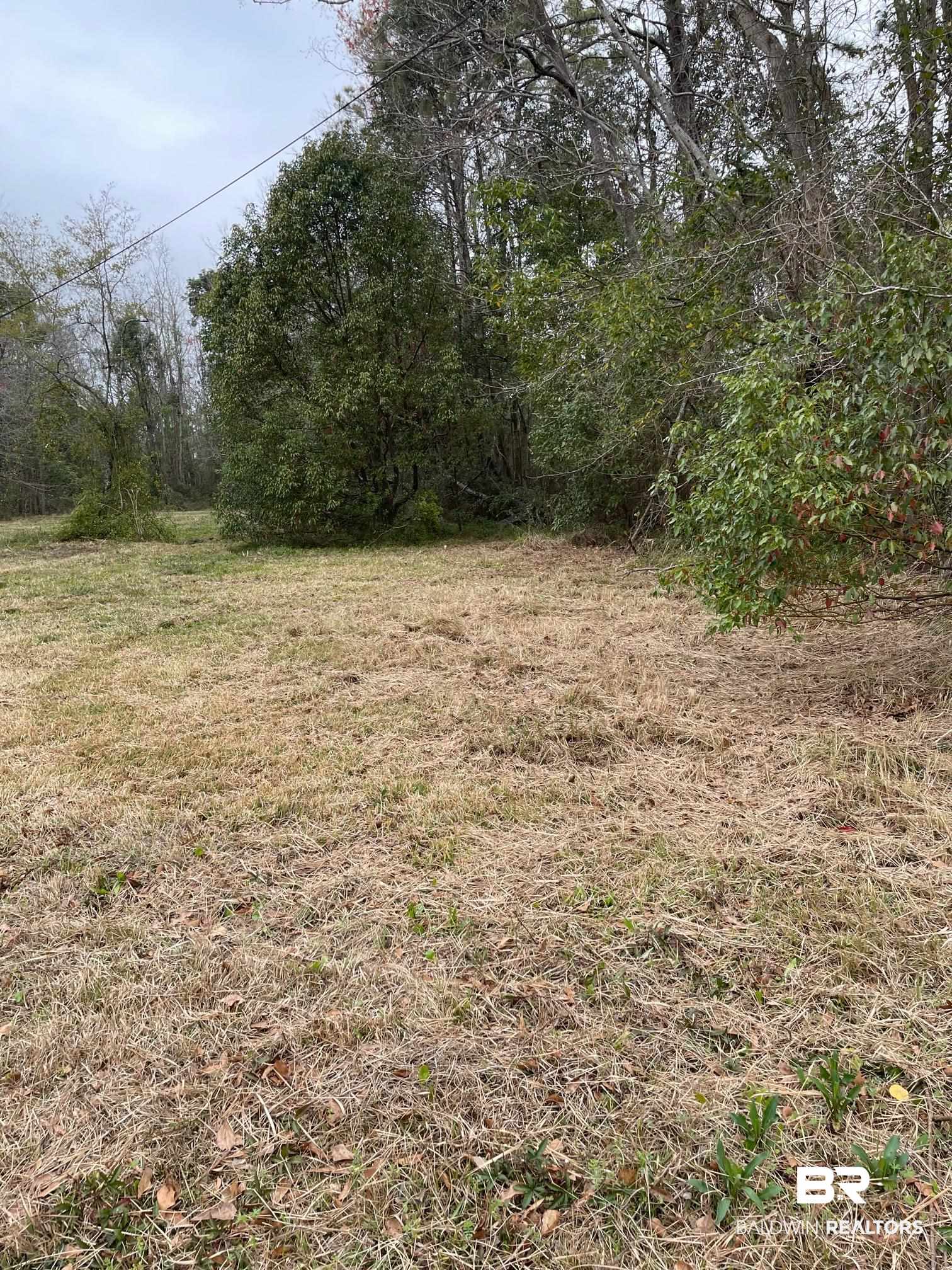 4146 Furman Drive Mobile, AL 36619 - Photo 3 of 7