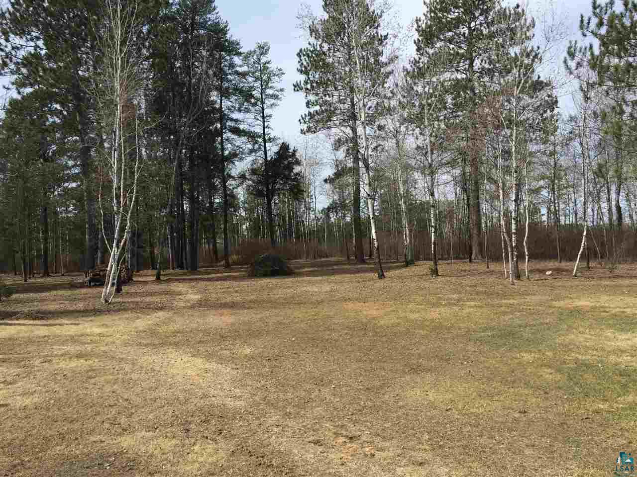 4473 Vermilion Trail Gilbert, MN 55741 - Photo 20 of 21 wooded lot