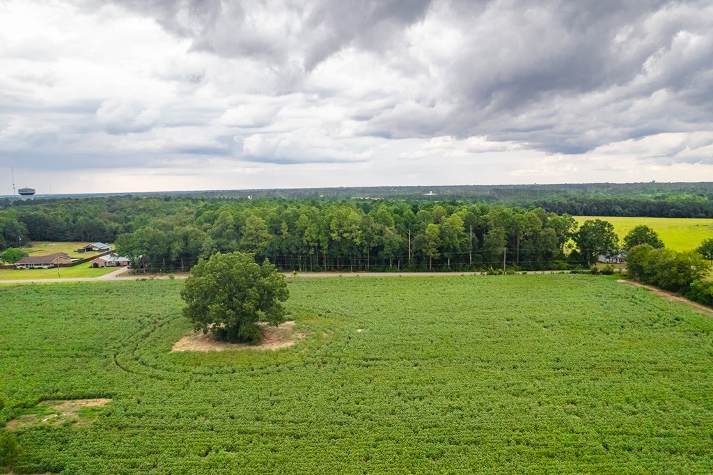 0 East Wayne Road Dothan, AL 36301 - Photo 16 of 18