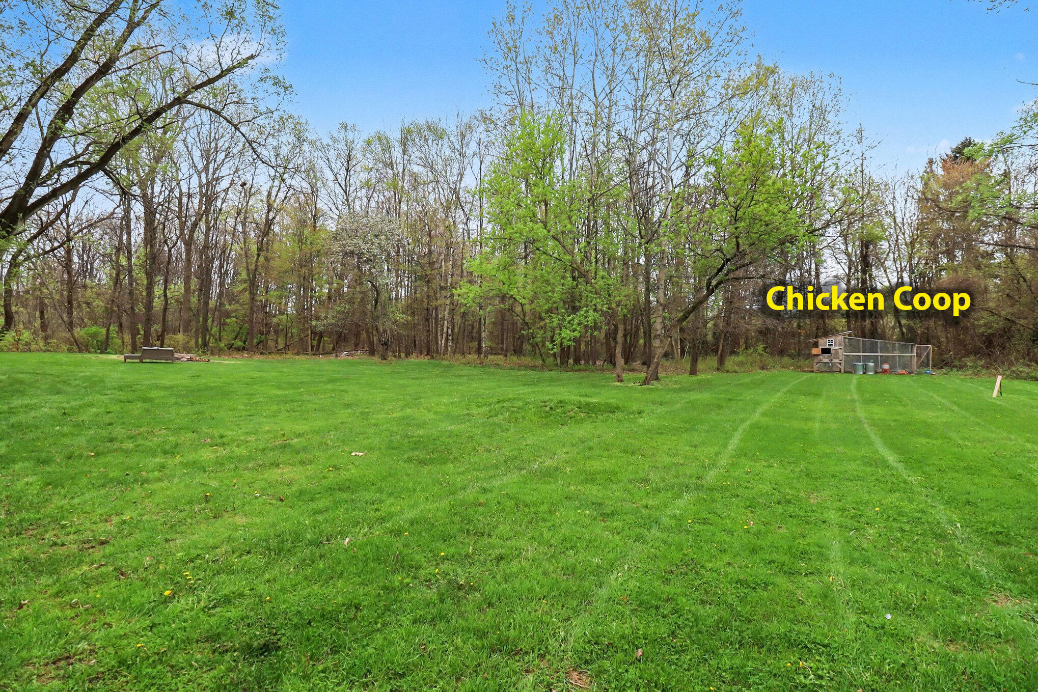 9840 Hyne Road Brighton, MI 48114 - Photo 20 of 25 Chicken_Coop