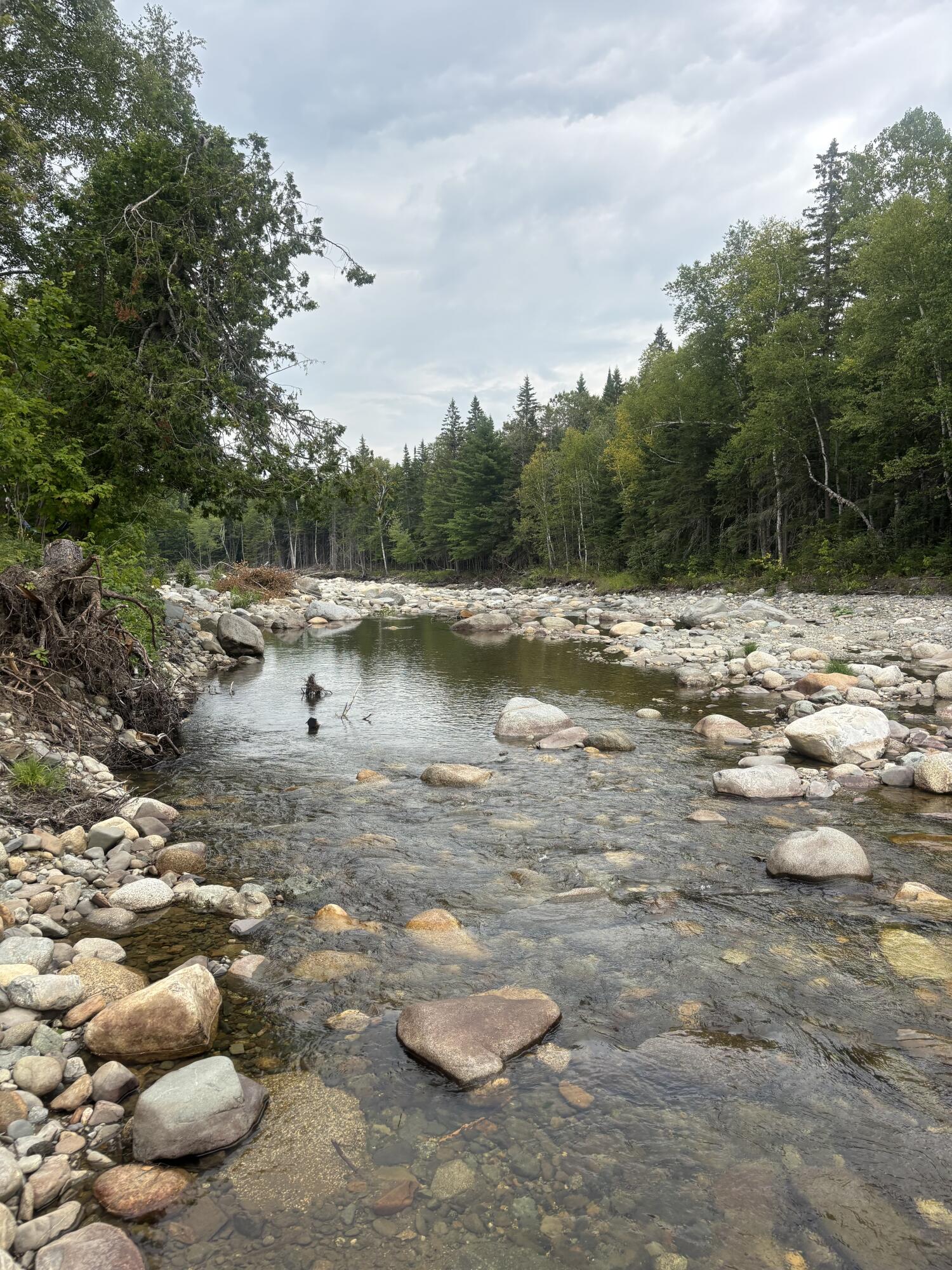 64 Ip Road Stratton, ME 04982 - Photo 38 of 56 IMG_4334