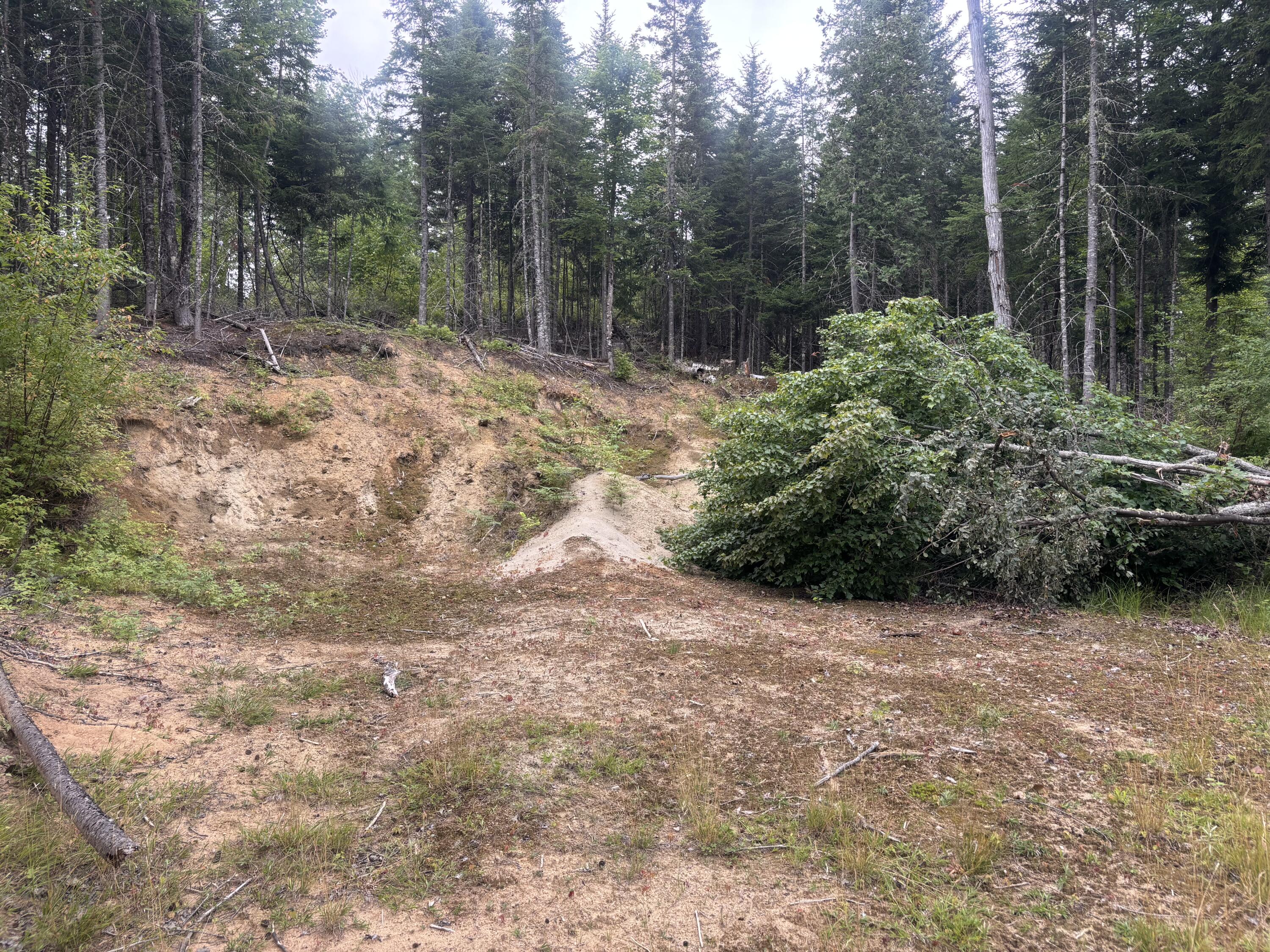 64 Ip Road Stratton, ME 04982 - Photo 43 of 56 IMG_4354