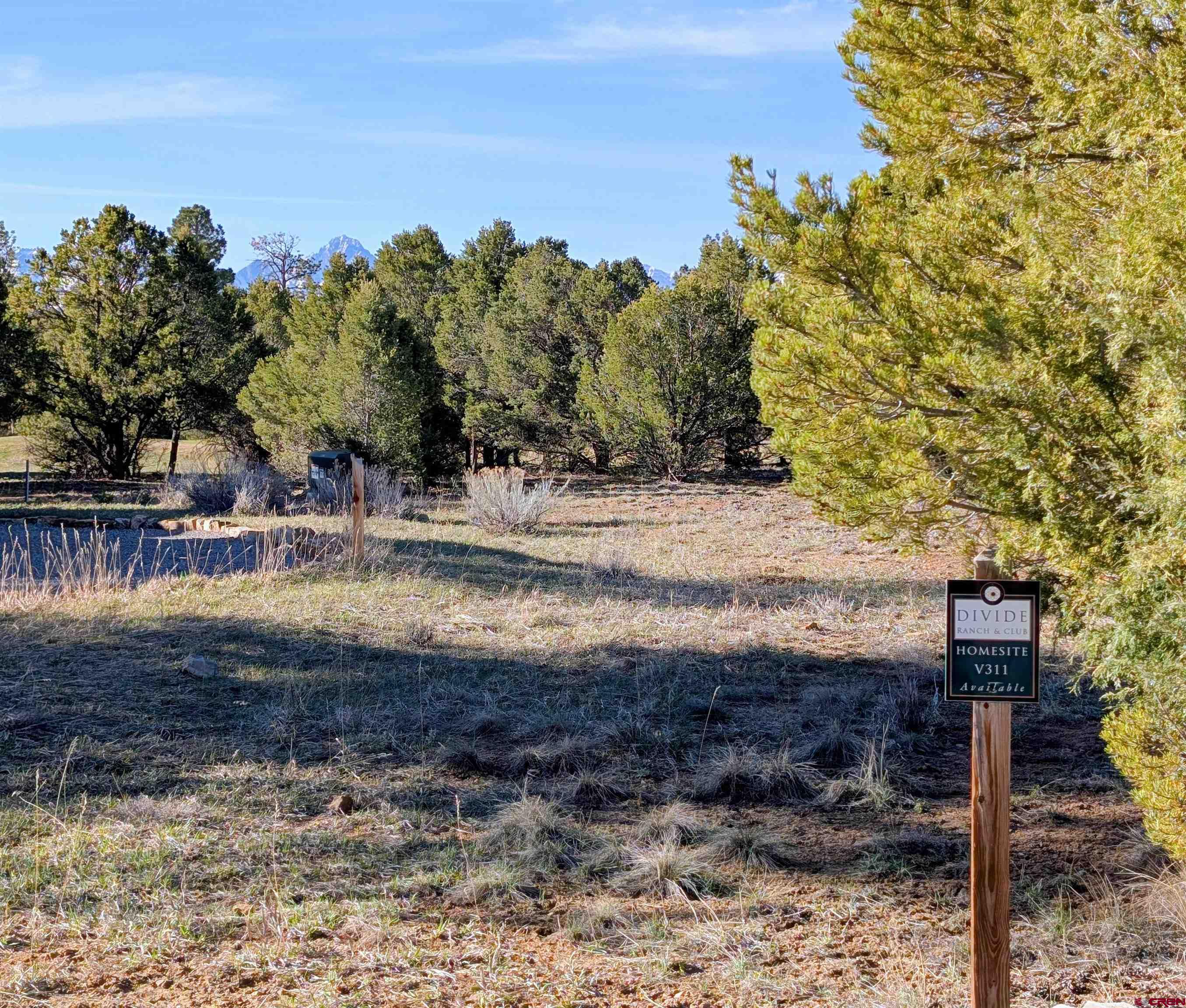 a view of a yard with wooden fence