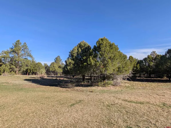 a view of outdoor space with trees