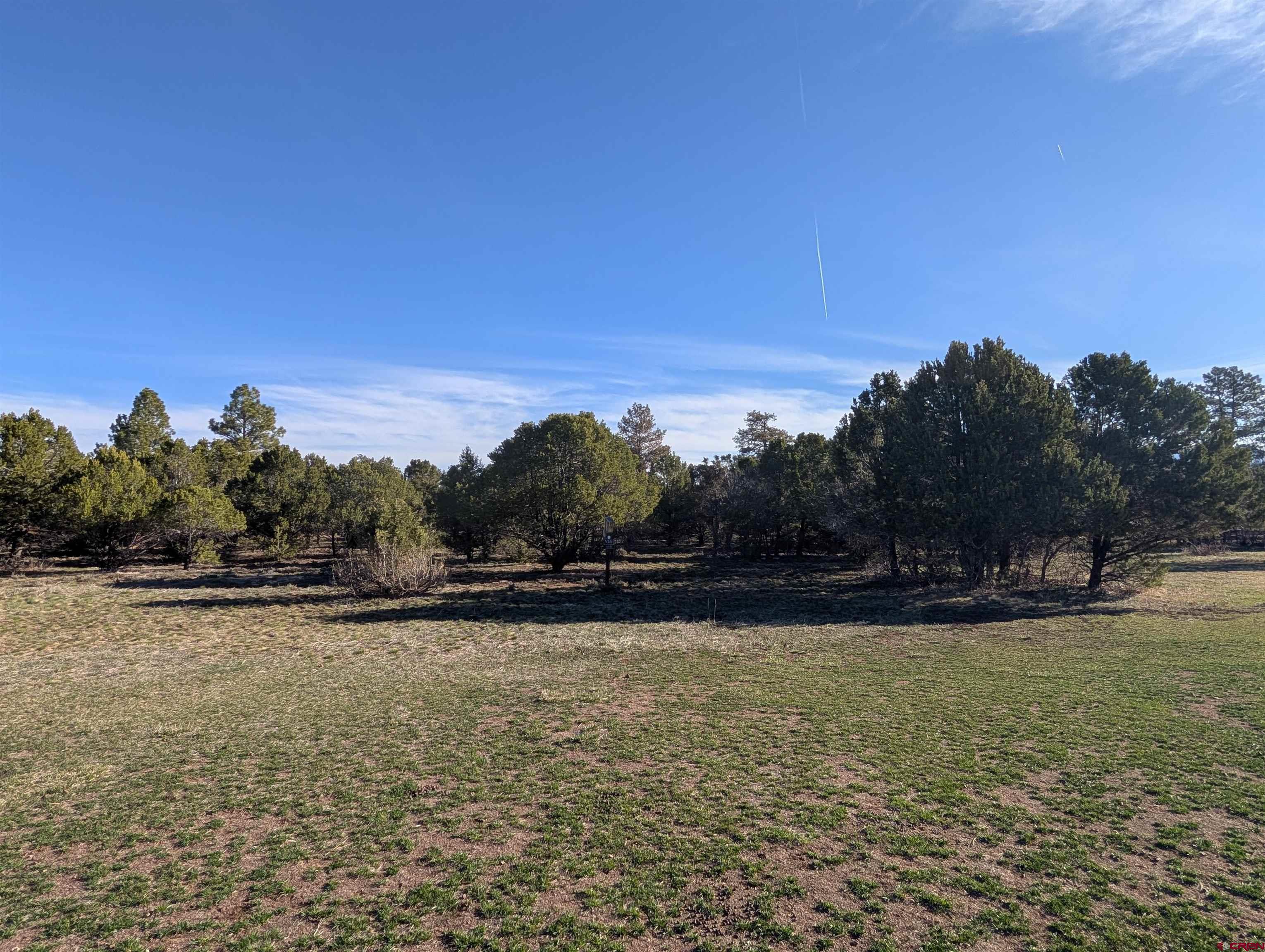 1635 Marmot Drive Ridgway, CO 81432 - Photo 15 of 20 a view of outdoor space and yard