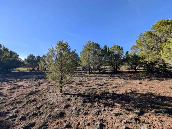 a view of outdoor space with trees