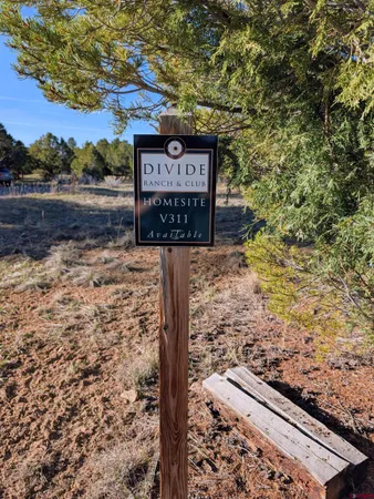 a view of a wooden house with large trees