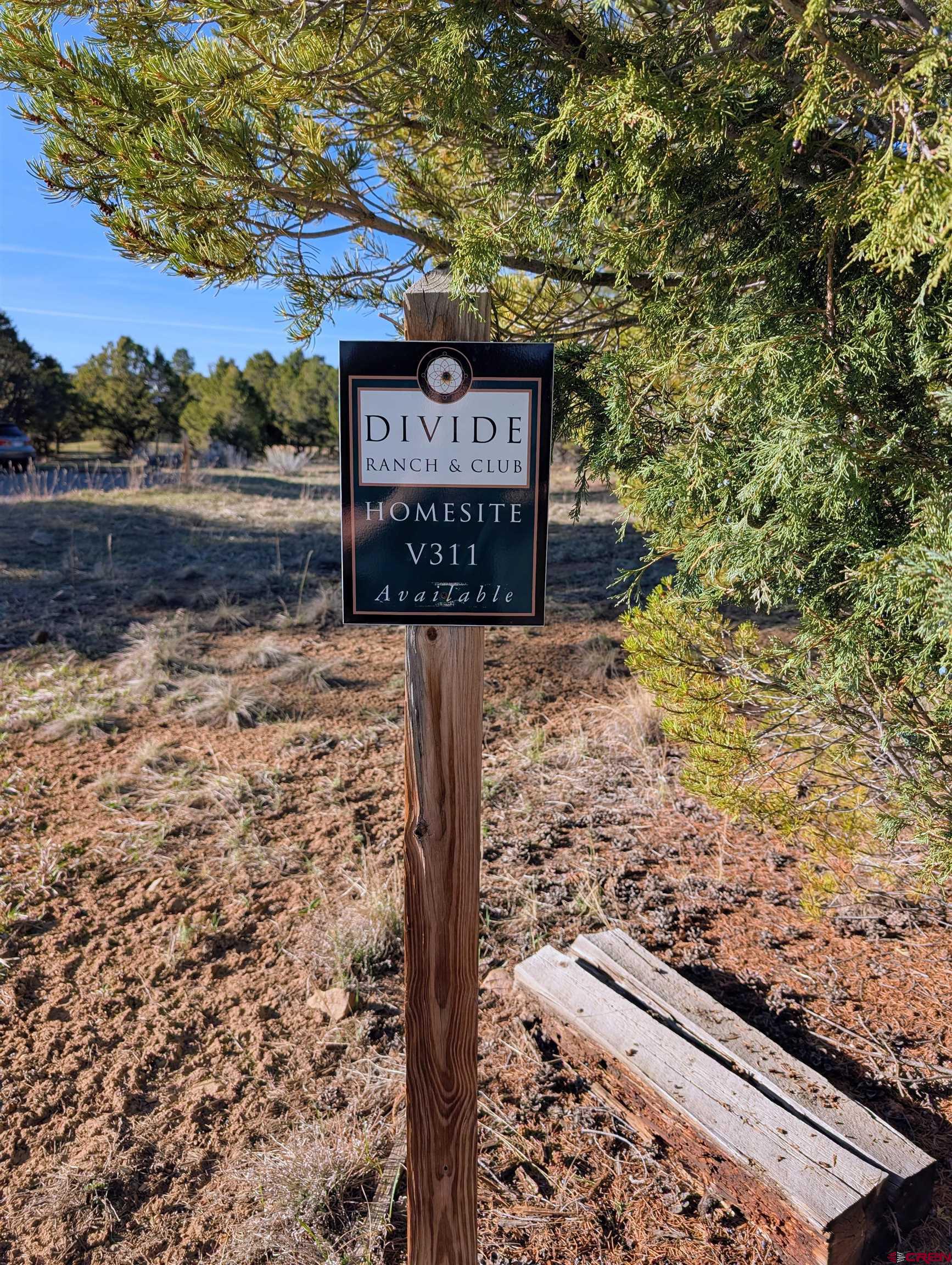 1635 Marmot Drive Ridgway, CO 81432 - Photo 2 of 20 a view of a wooden house with large trees