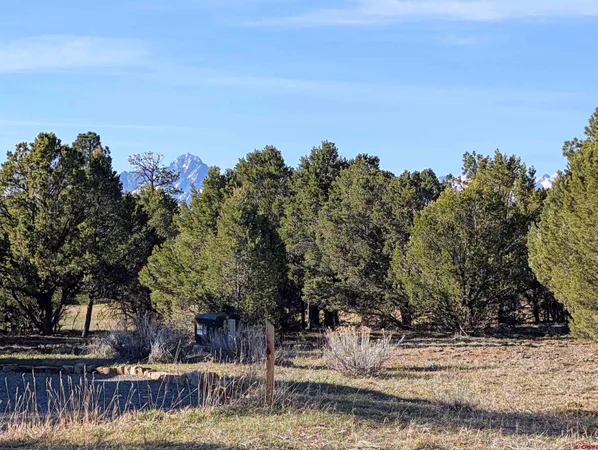 a view of a yard with wooden fence