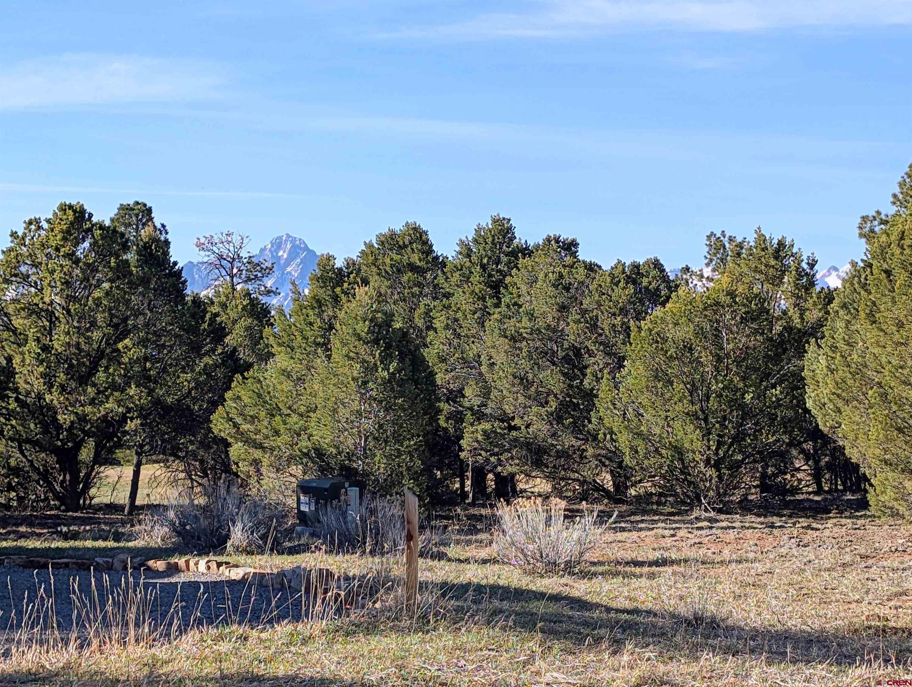 1635 Marmot Drive Ridgway, CO 81432 - Photo 3 of 20 a view of a yard with wooden fence