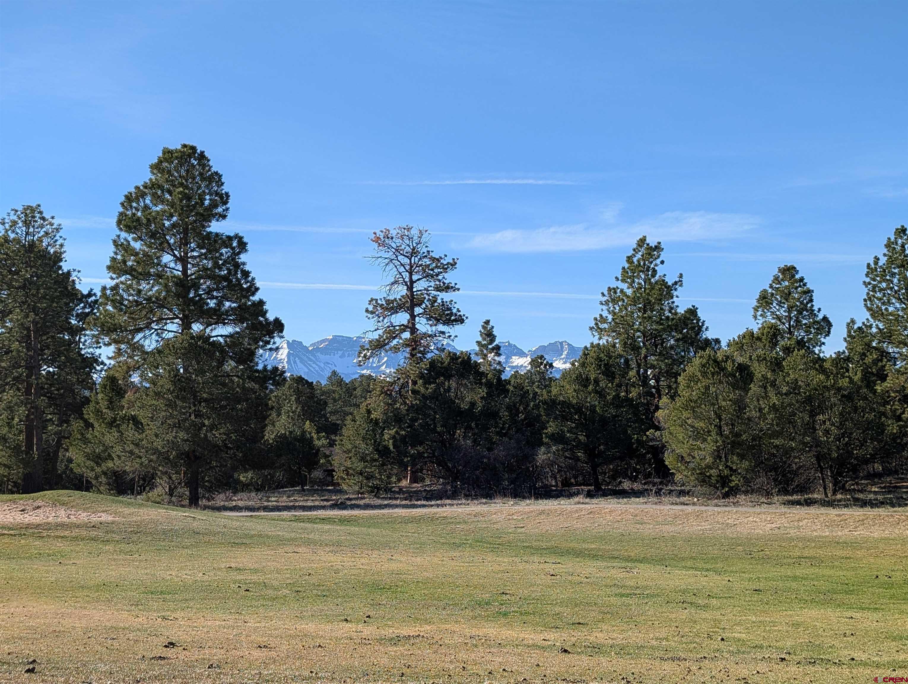 1635 Marmot Drive Ridgway, CO 81432 - Photo 5 of 20 a view of a swimming pool and an outdoor seating