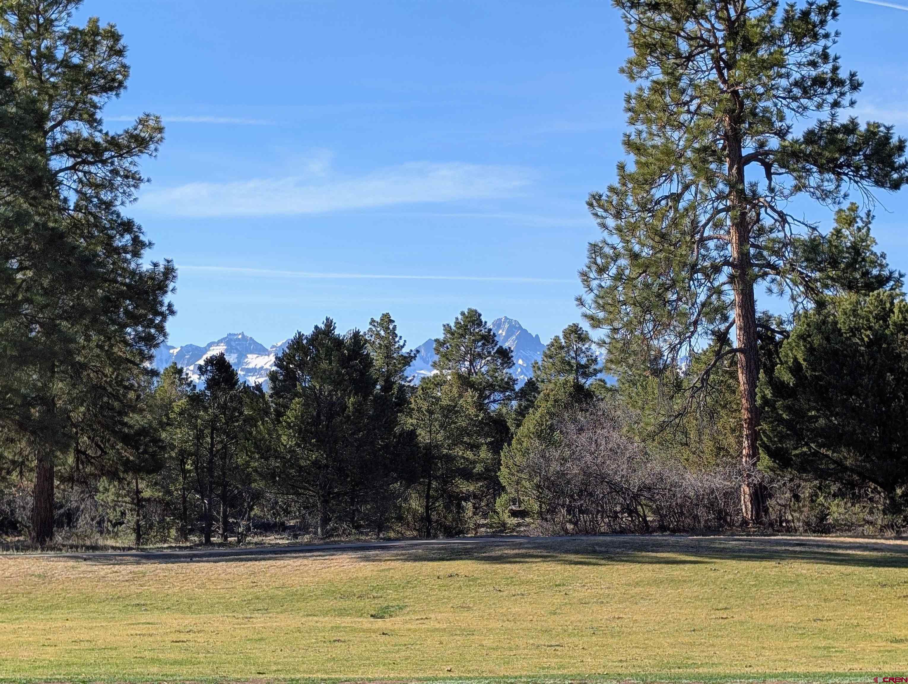 1635 Marmot Drive Ridgway, CO 81432 - Photo 6 of 20 a view of a swimming pool with an outdoor seating
