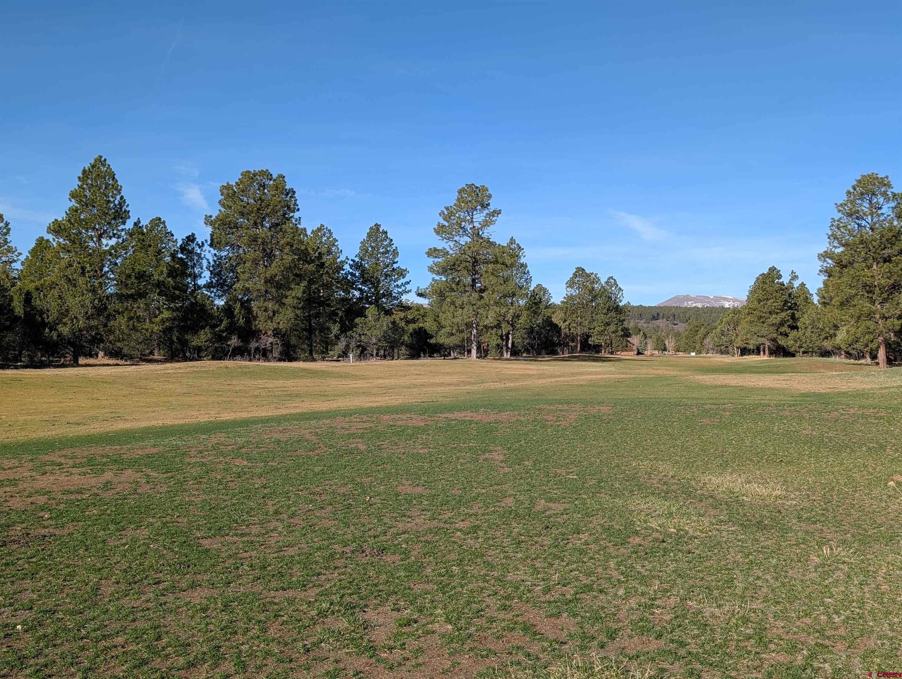 1635 Marmot Drive Ridgway, CO 81432 - Photo 7 of 20 a view of outdoor space with trees