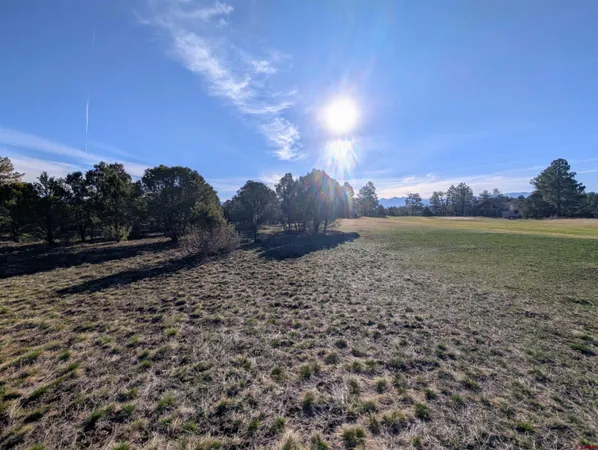 a view of a yard and mountain view in back
