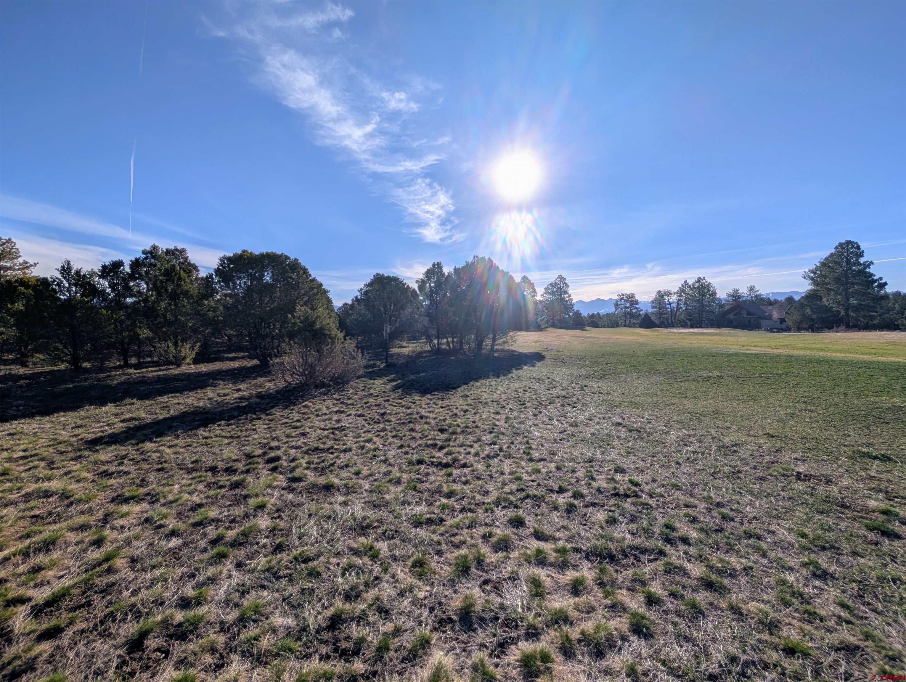 1635 Marmot Drive Ridgway, CO 81432 - Photo 9 of 20 a view of a yard and mountain view in back