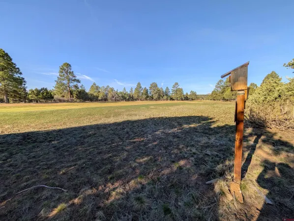 a view of an ocean and beach