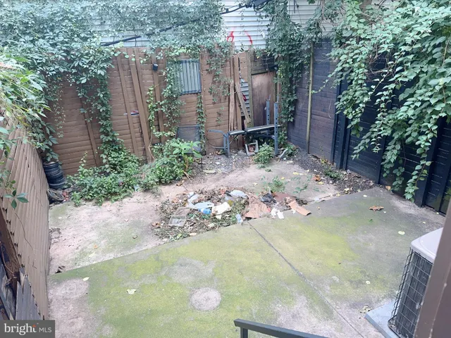 a view of a backyard with plants