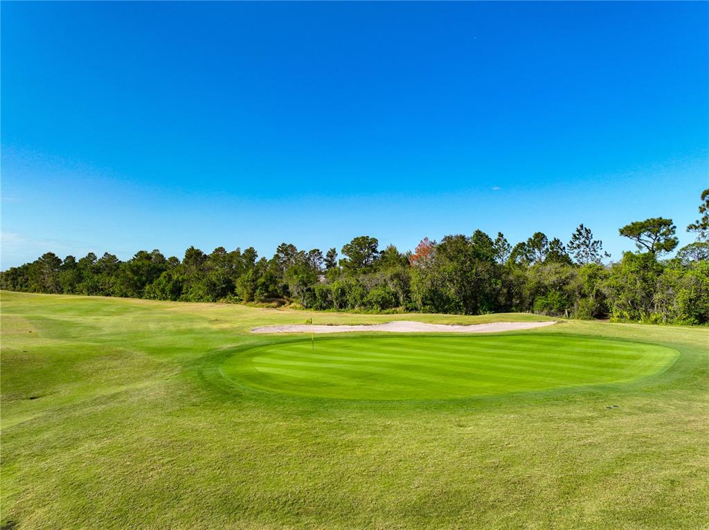 6137 Monegro Street Sebring, FL 33872 - Photo 30 of 30 a view of a grassy field with an trees