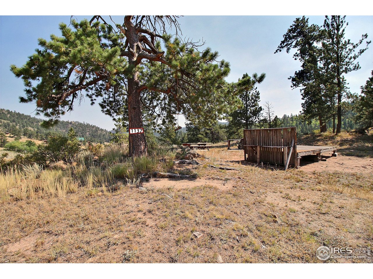 1137 Beartrap Road Red Feather Lakes, CO 80545 - Photo 1 of 14 Prime 4.2 Acre Property in Beautiful Crystal Lakes