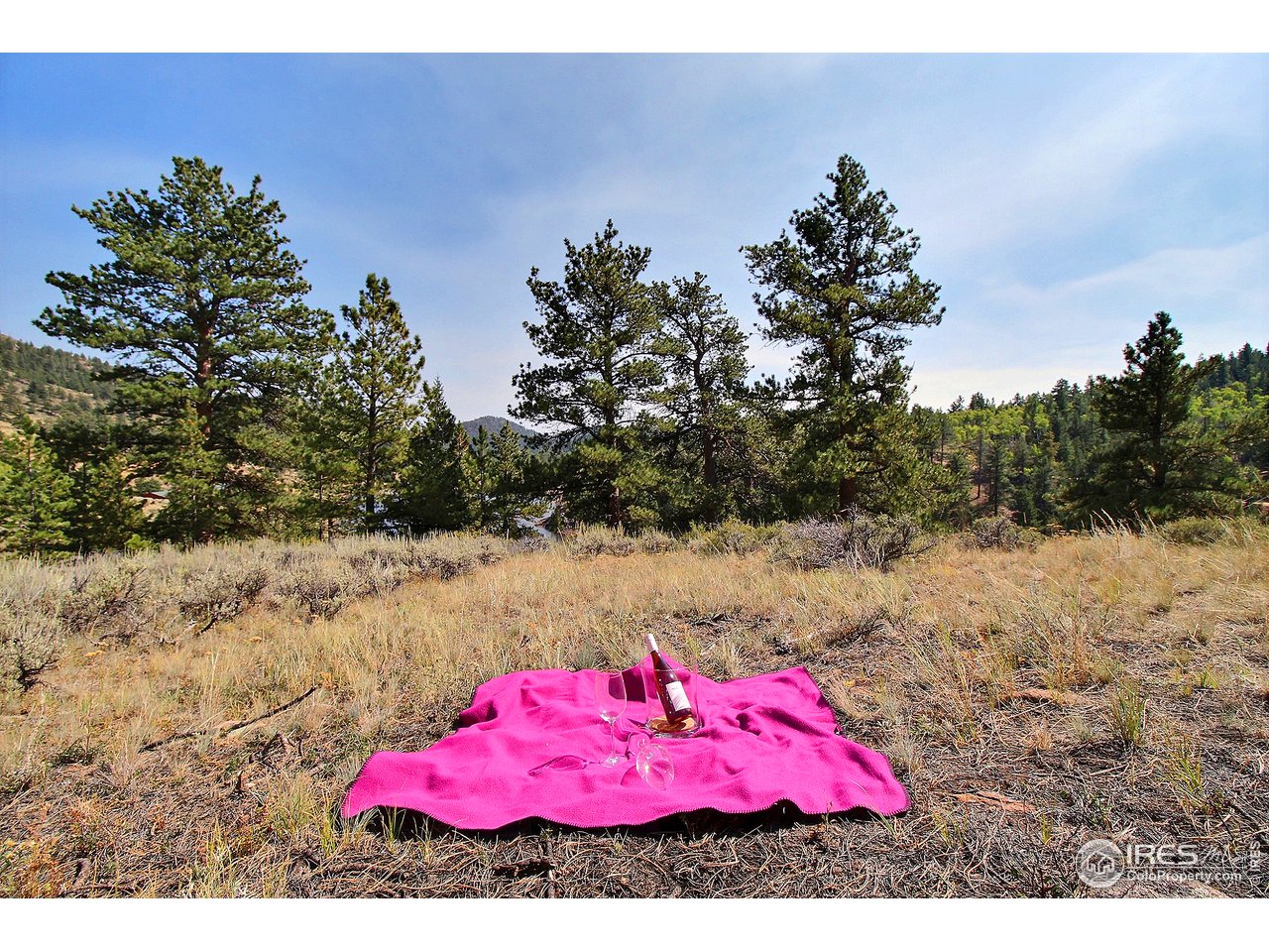 1137 Beartrap Road Red Feather Lakes, CO 80545 - Photo 8 of 14 Imagine A Nice Get-Away with Just You and Nature!
