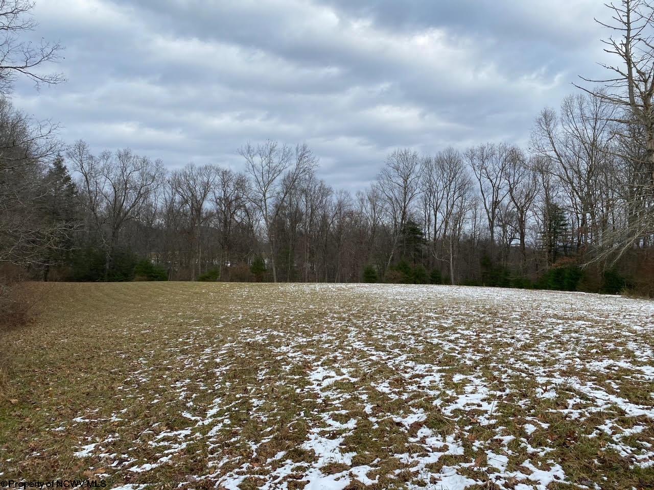 3000 Holly Meadows Road Parsons, WV 26287 - Photo 36 of 50 Gallery Image 36
