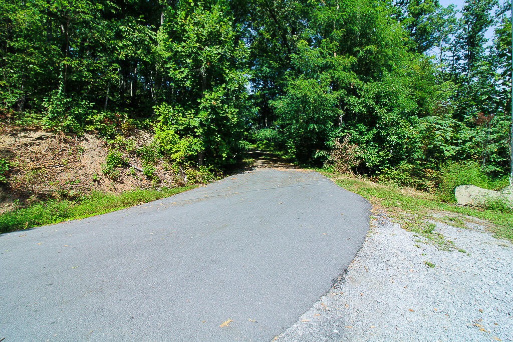 1468 Laurel Road Gatlinburg, TN 37738 - Photo 24 of 40 Gallery Image 24