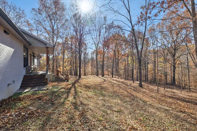 a view of a backyard of the house