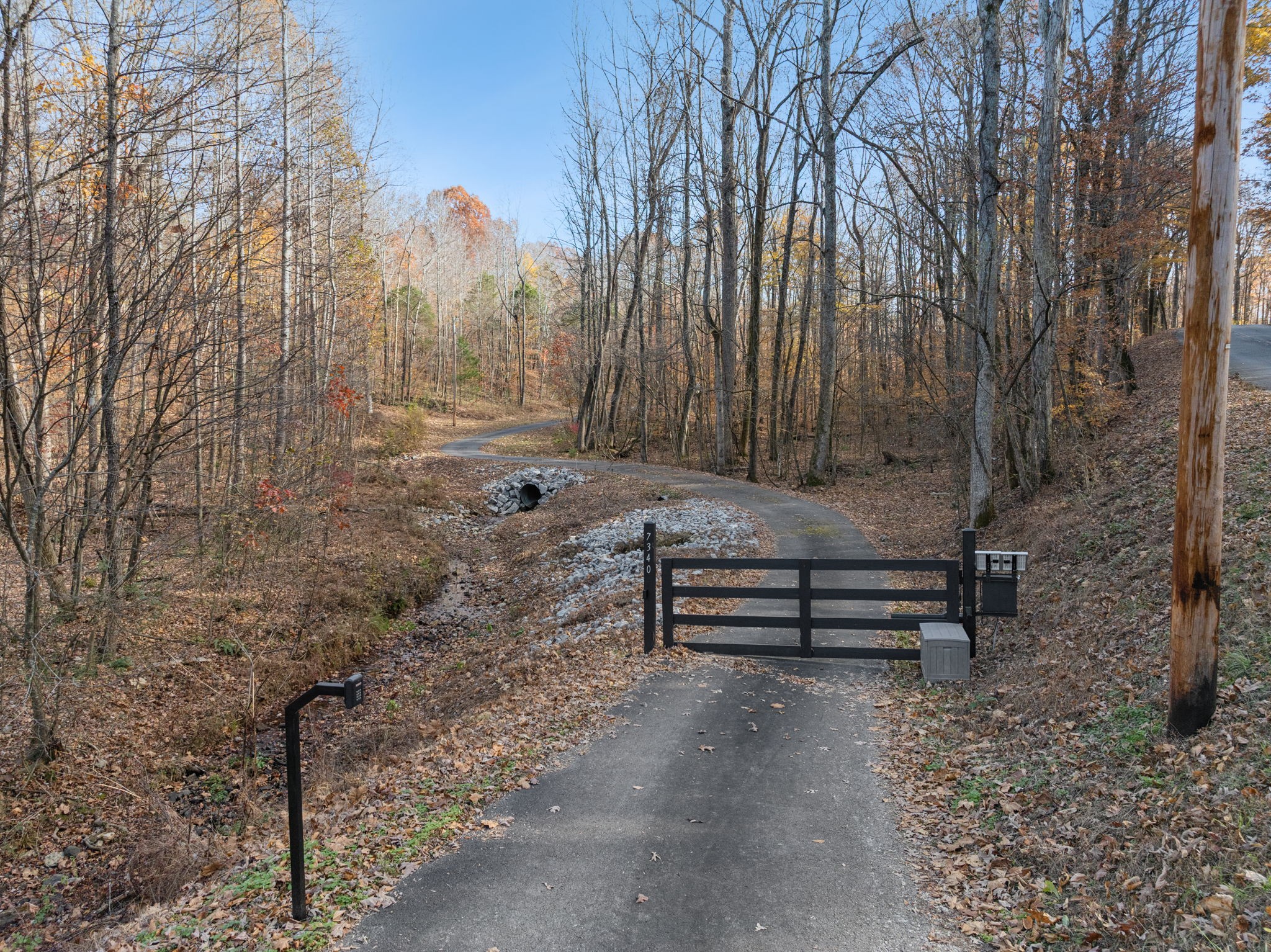 7340 Bradford Road Primm Springs, TN 38476 - Photo 33 of 36 a bench is sitting in middle of forest