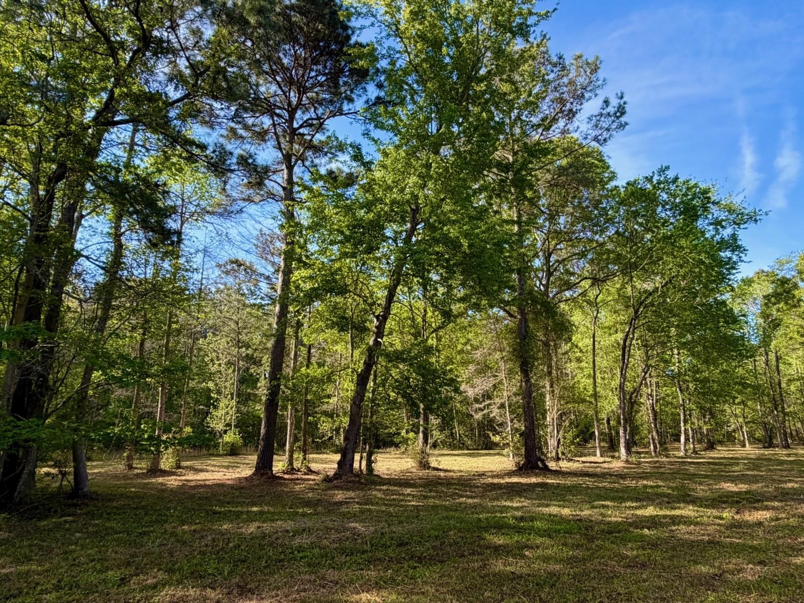 9985 Highway 17 McClellanville, SC 29458 - Photo 11 of 25