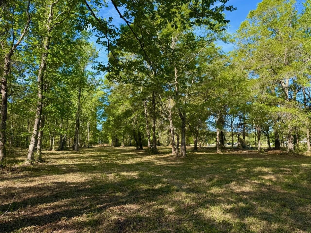 9985 Highway 17 McClellanville, SC 29458 - Photo 12 of 25