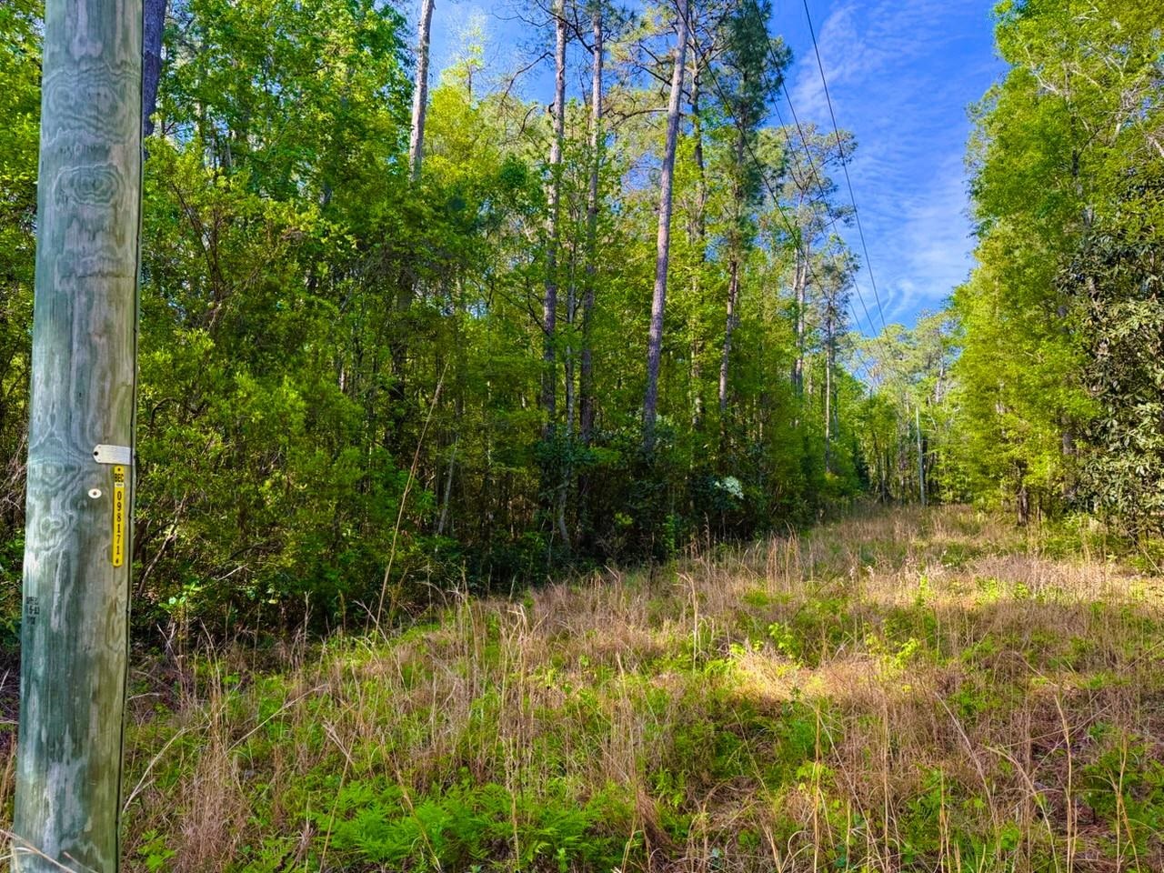 9985 Highway 17 McClellanville, SC 29458 - Photo 15 of 25