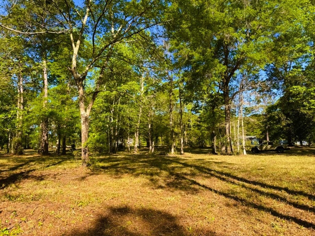 9985 Highway 17 McClellanville, SC 29458 - Photo 16 of 25