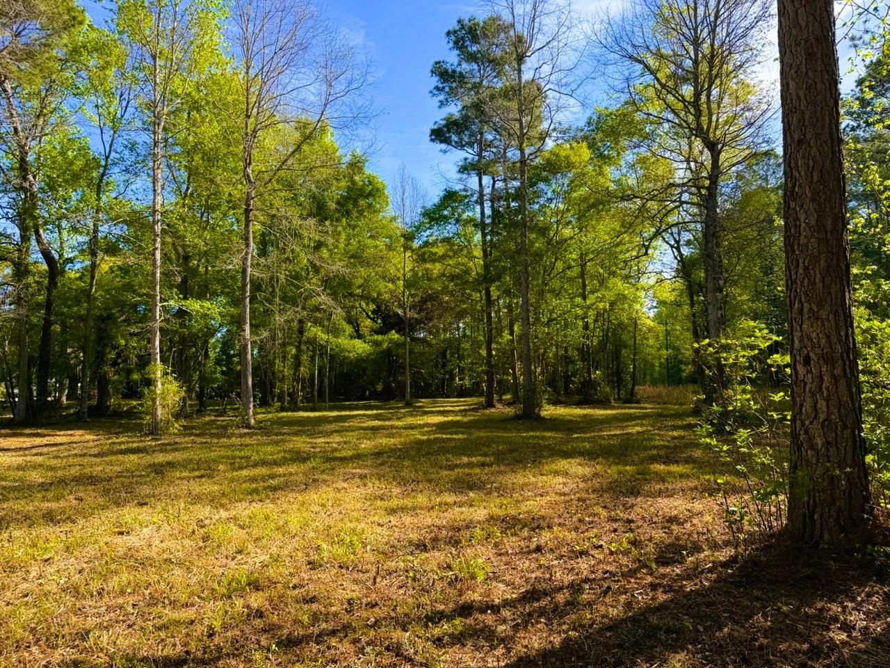 9985 Highway 17 McClellanville, SC 29458 - Photo 17 of 25