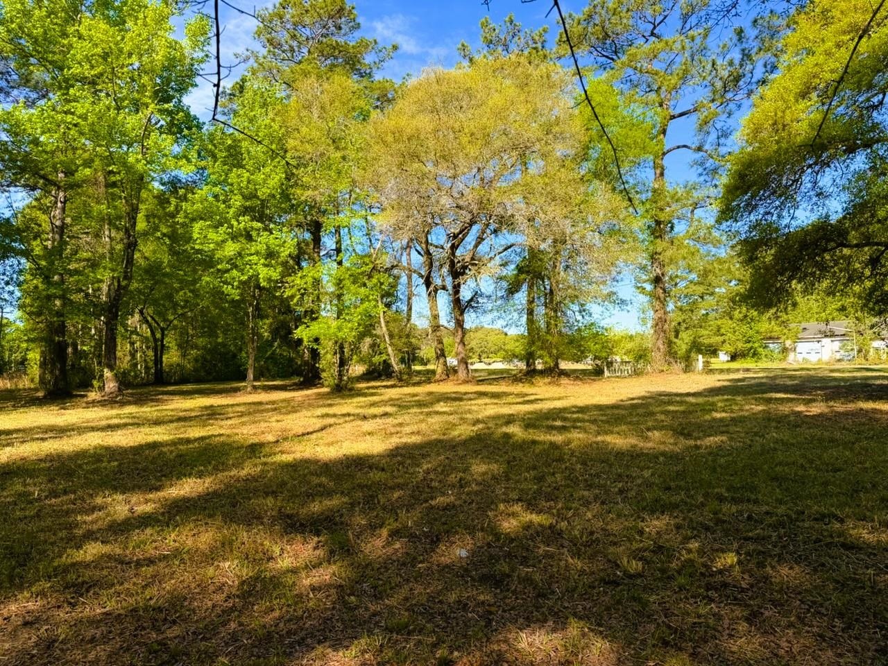 9985 Highway 17 McClellanville, SC 29458 - Photo 18 of 25