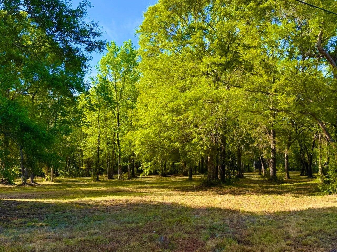 9985 Highway 17 McClellanville, SC 29458 - Photo 2 of 25