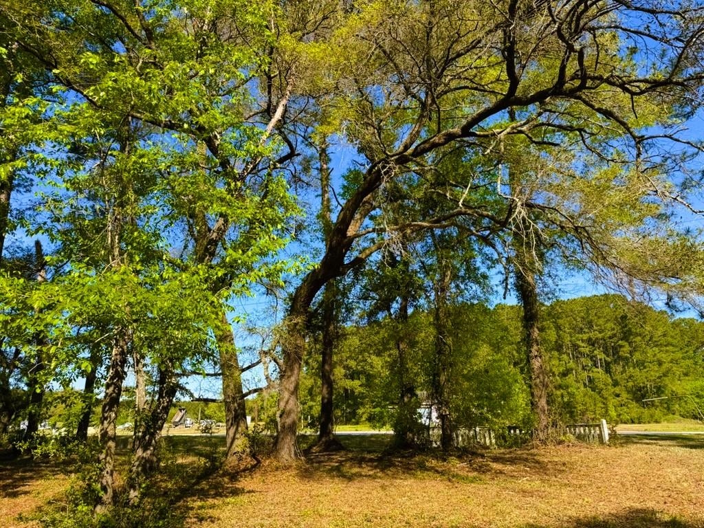 9985 Highway 17 McClellanville, SC 29458 - Photo 22 of 25