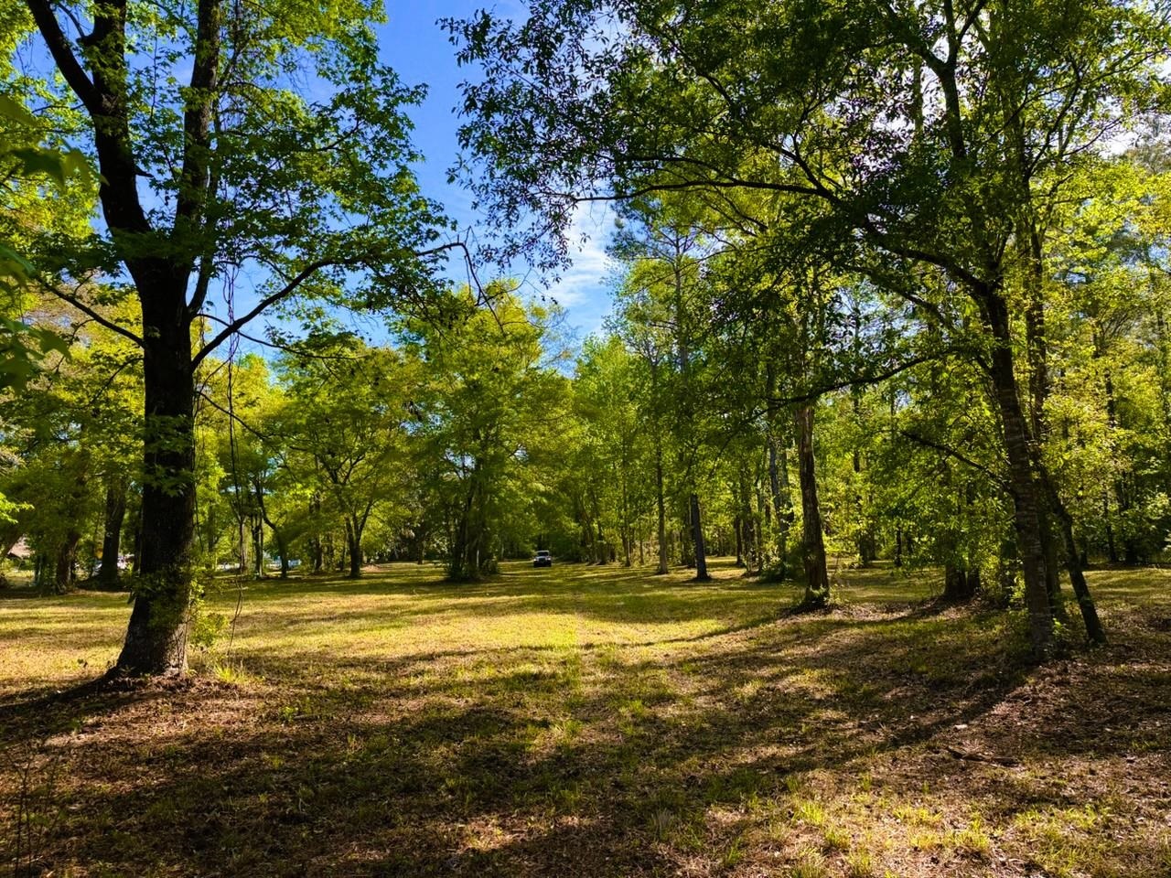9985 Highway 17 McClellanville, SC 29458 - Photo 24 of 25