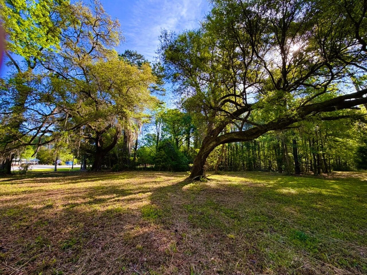 9985 Highway 17 McClellanville, SC 29458 - Photo 4 of 25