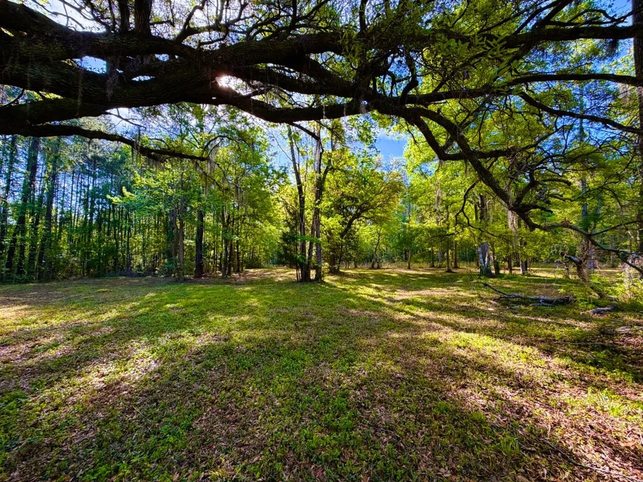 9985 Highway 17 McClellanville, SC 29458 - Photo 5 of 25