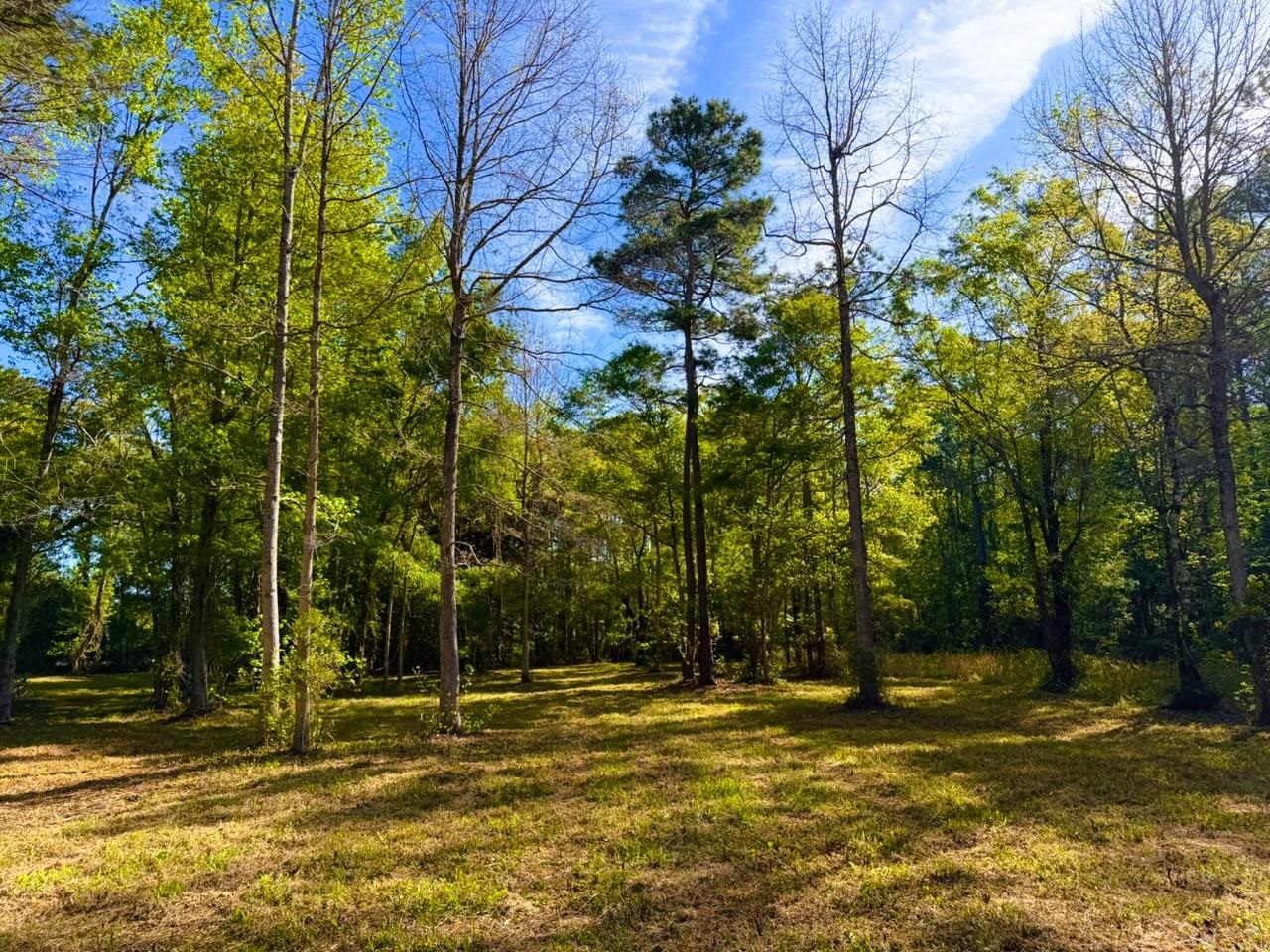 9985 Highway 17 McClellanville, SC 29458 - Photo 7 of 25