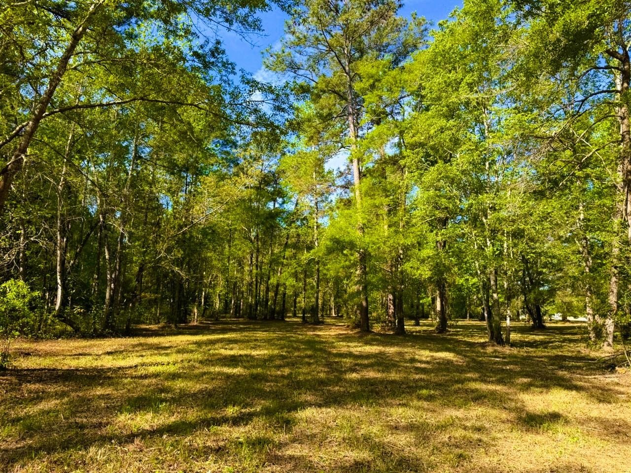 9985 Highway 17 McClellanville, SC 29458 - Photo 8 of 25