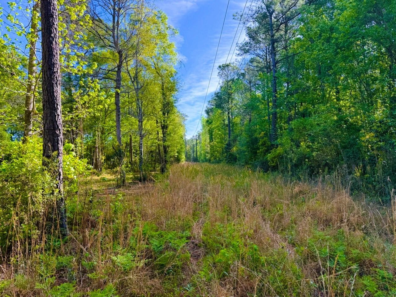 9985 Highway 17 McClellanville, SC 29458 - Photo 10 of 25