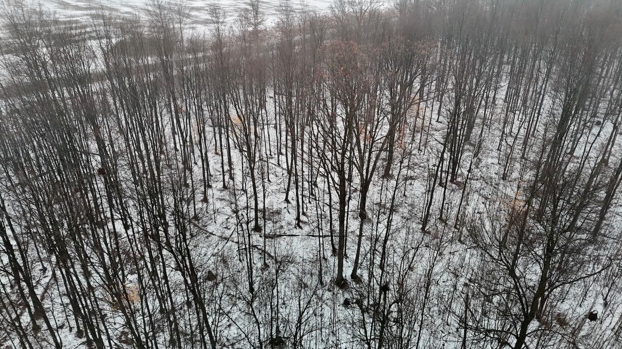 V/l South Chapin Road Elsie, MI 48831 - Photo 8 of 20