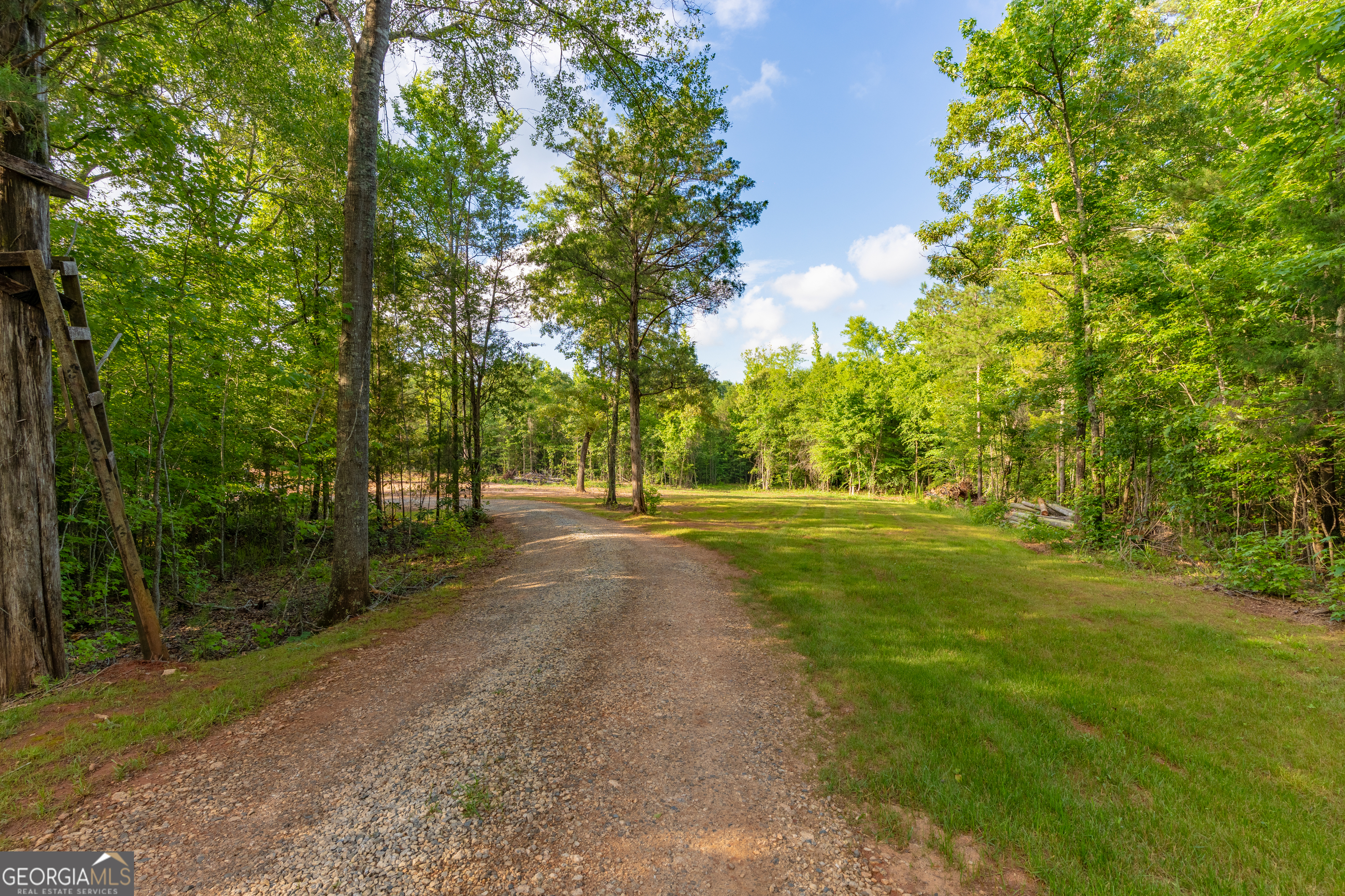 54 Davis Carter Road Monticello, GA 31064 - Photo 7 of 60