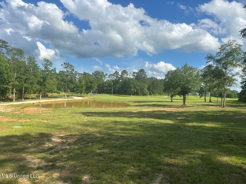 23 Van Spence Road Carriere, MS 39426 - Photo 11 of 37 179718_11