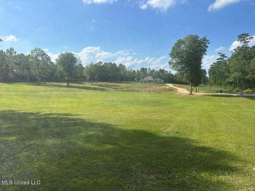 23 Van Spence Road Carriere, MS 39426 - Photo 3 of 37 179718_2