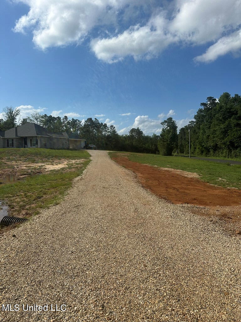23 Van Spence Road Carriere, MS 39426 - Photo 5 of 37 179718_5