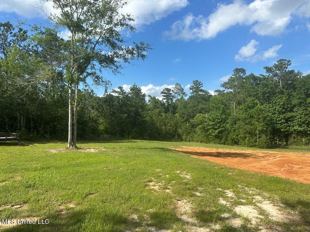 23 Van Spence Road Carriere, MS 39426 - Photo 9 of 37 179718_9