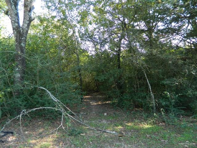 7075 State Highway Bryan, TX 77807 - Photo 7 of 36 WOODED